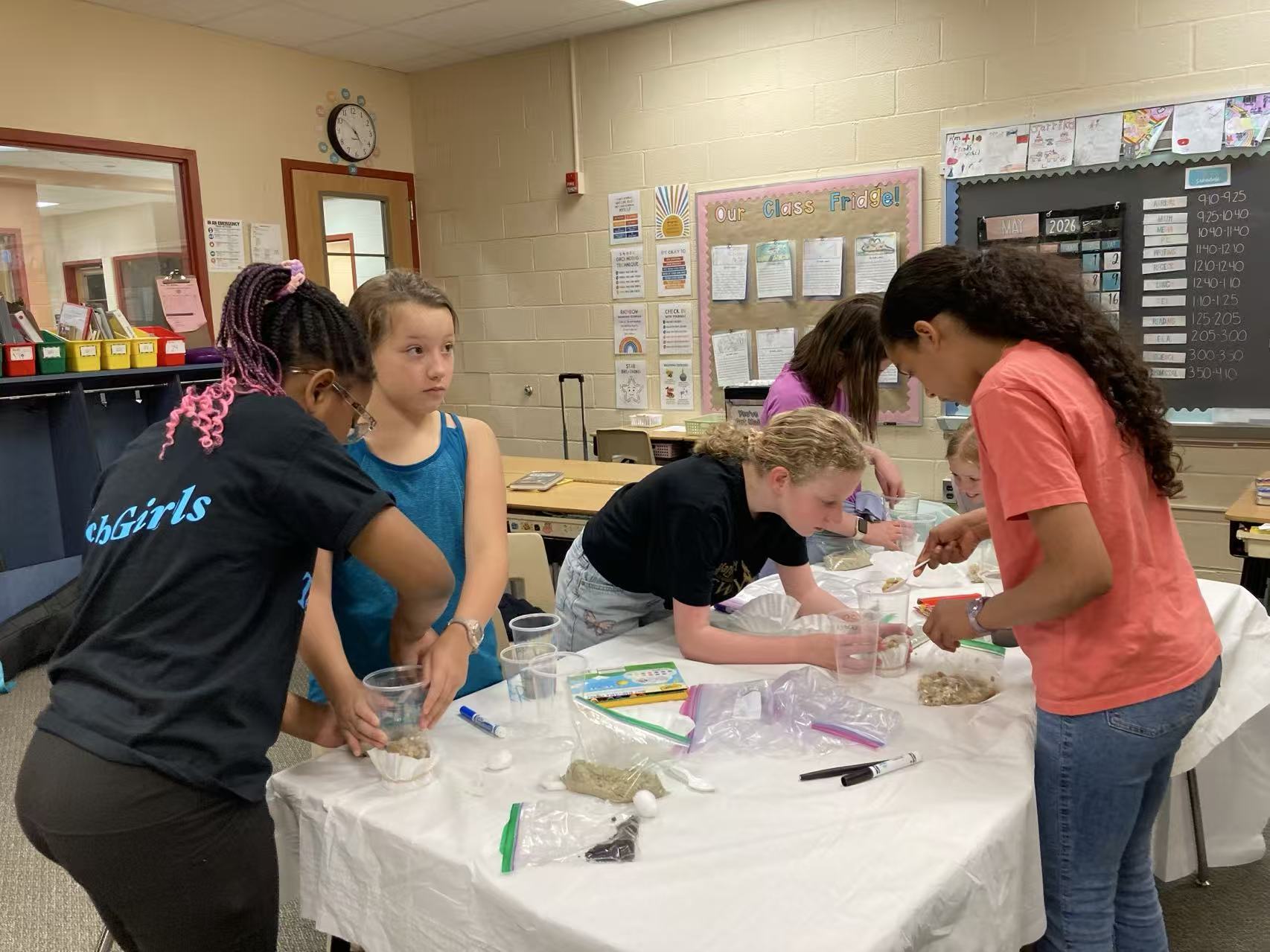 TechGirls Activity